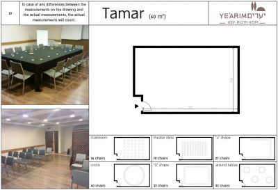 Tamar Conference room